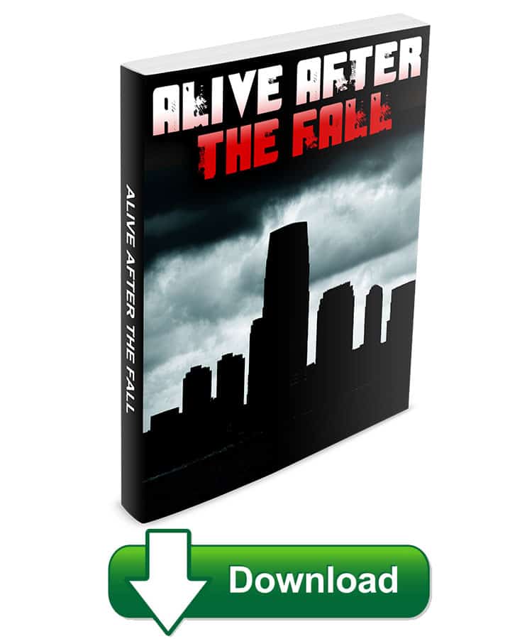 The problem with Alive After The Fall is that, although it uses Bible prophecy to predict social collapse