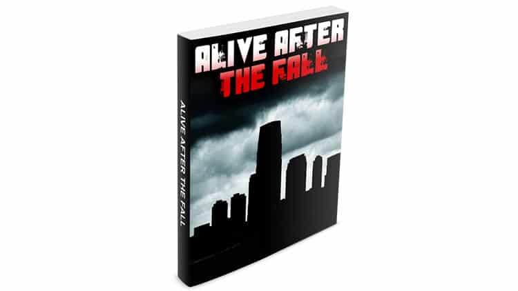 The problem with Alive After The Fall is that, although it uses Bible prophecy to predict social collapse