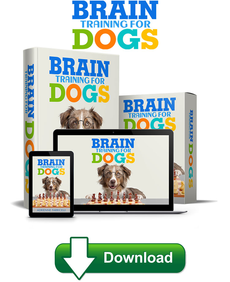 Brain Training For Dogs is well-displayed that all its sections are split into particular areas of problematic behaviour.