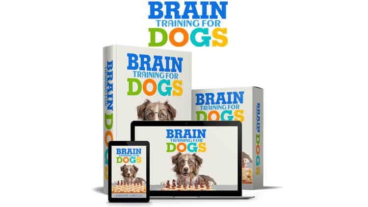 I tried to find some information about the creator of Brain Training For Dogs, but I didn’t find much.